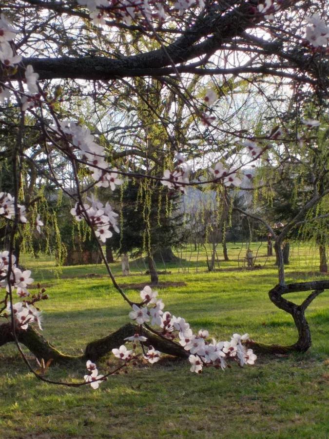 Bed and Breakfast Domaine Berenguer Ouches Екстер'єр фото