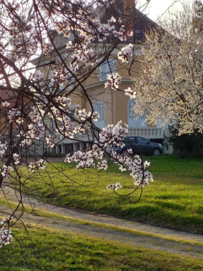 Bed and Breakfast Domaine Berenguer Ouches Екстер'єр фото