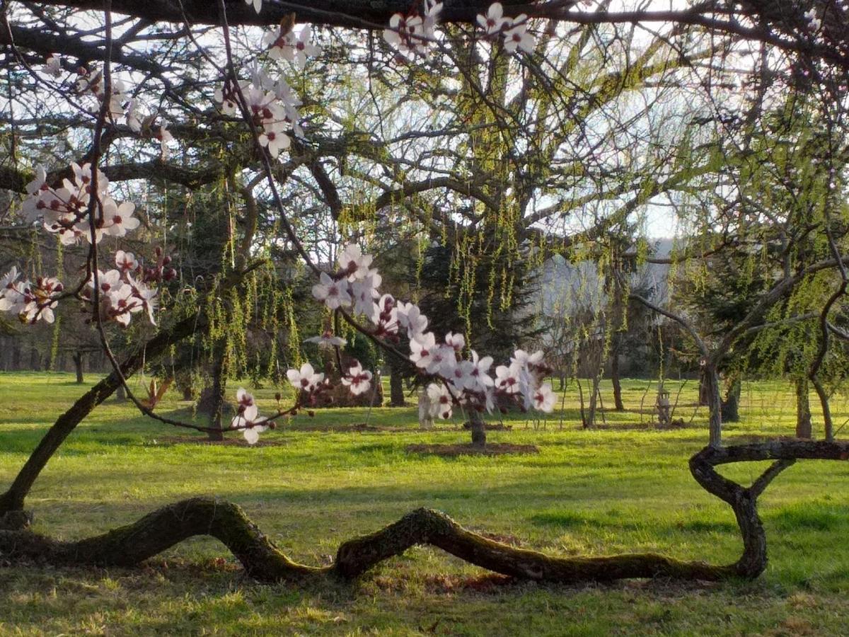 Bed and Breakfast Domaine Berenguer Ouches Екстер'єр фото